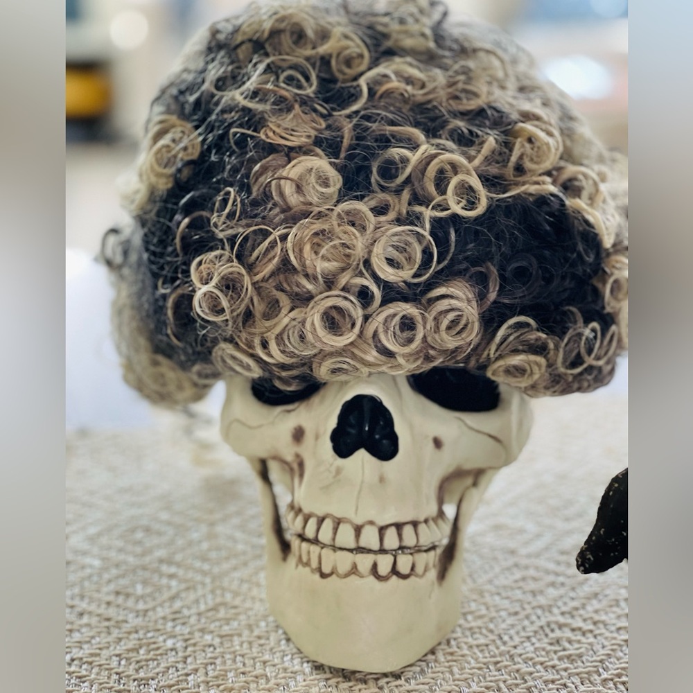Large Volume Afro Wig